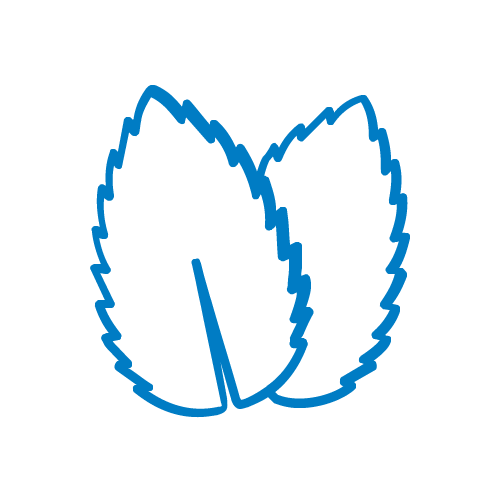 Icon mit einem Minzblatt für den Minzgeschmack.