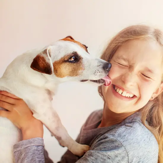 Achtung vor Bisswunde: Hund leckt Mädchen im Gesicht ab.